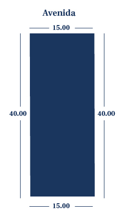 Lote 181