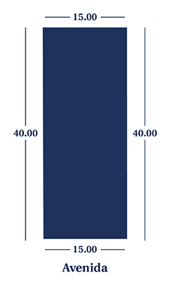 Lote 195