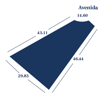 Lote 263
