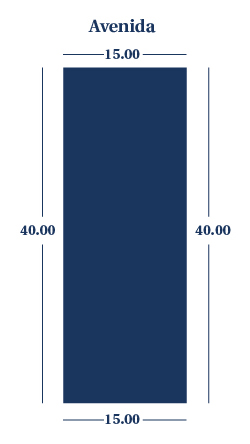 Lote 54
