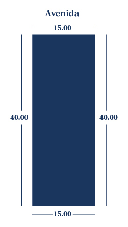 Lote 55