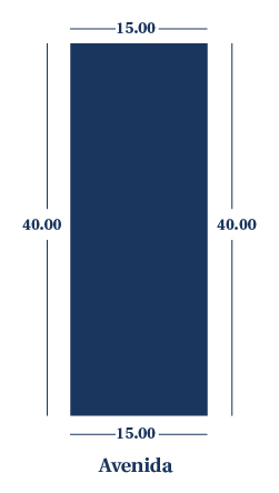 Lote 101